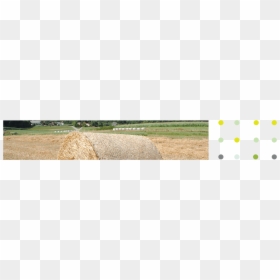 Top Image - Field, HD Png Download - hay bales png