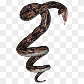 3d Snake Model Png, Transparent Png - snake png transparent