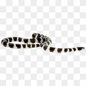 Snake Png Transparent Image - Portable Network Graphics, Png Download - snake png transparent