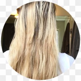 Blond, HD Png Download - judge wig png