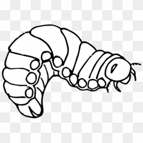 Line Art, HD Png Download - hungry caterpillar png