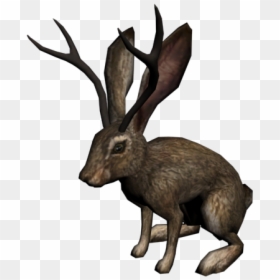 Jackalope Png, Transparent Png - dead rat png