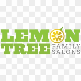 Lemon Tree Family Salons Of Holbrook Ny - Lemon Tree Family Salons, HD Png Download - lemon tree png