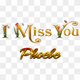 Phoebe Decorative Name Png - Miss You Bilal, Transparent Png - decorative swirls png