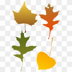 Autumn Leaves - Autumn Leaf Clip Art, HD Png Download - fallen leaves png