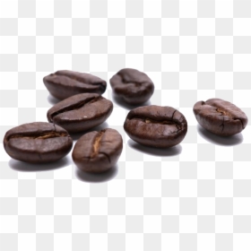 Coffee Beans Transparent Free Png - Coffee Bean Png Transparent, Png Download - coffee png images
