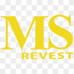 Ms Revest - Graphic Design, HD Png Download - caminhão png