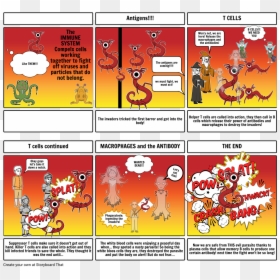 Storyboard Of The Immune System, HD Png Download - immune system png