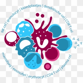 Clip Art, HD Png Download - immune system png