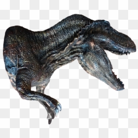 Lizard, HD Png Download - pared png