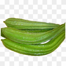 Thumb Image - Transparent Ridge Gourd Png, Png Download - gourd png