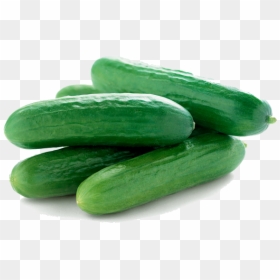 Gourd, And Melon Gherkins,zucchini,summer Squash,scarlet - Cucumber Png, Transparent Png - gourd png