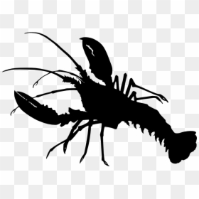 Crayfish As Food Lobster Crab Silhouette - Lobster Silhouette Png, Transparent Png - crayfish png