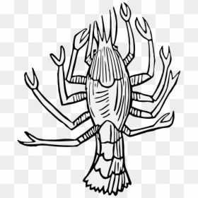 Crayfish Png, Transparent Png - crayfish png