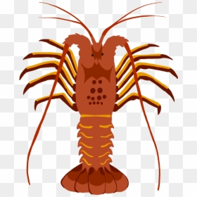Lobster Clipart , Png Download - Difference Between Lobster And Crayfish, Transparent Png - crayfish png