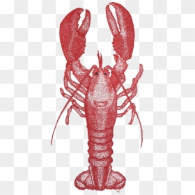 American Lobster, HD Png Download - crayfish png