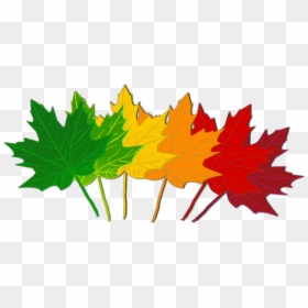 November Clip Art Autumn - Colorful Leaves Clipart, HD Png Download - fall background png