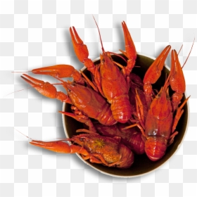 Crawfish Clipart Svg - Crab Boil, HD Png Download - crayfish png