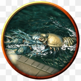 Blowfish, HD Png Download - crayfish png