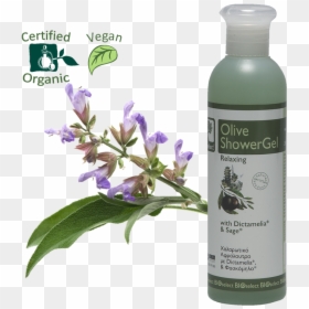Shampoo, HD Png Download - relaxing png