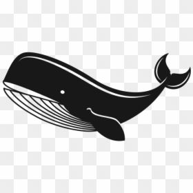 Whale - Whales, HD Png Download - whale silhouette png