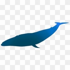 Whale Cartoon Png Transparent Images - Blue Whale, Png Download - whale silhouette png