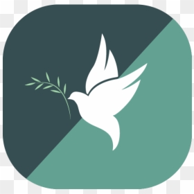 A Dove With An Olive Branch Signifying Healing Of Devops - Illustration, HD Png Download - critical ops png