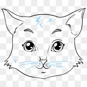 How To Draw Cat Face - Fluffy Cat Face Drawing, HD Png Download - kitty face png