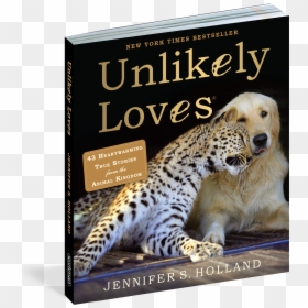Cover - Cheetah And Emotional Support Dog, HD Png Download - animal kingdom png