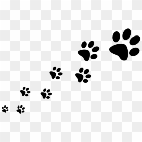 Dog Walking Pet Sitting Cat - Transparent Background Paw Prints, HD Png Download - paw print border png