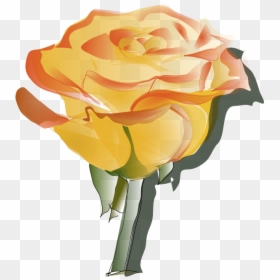 Free Rose Animations And - Yellow Color Flower Icon, HD Png Download - glitter vector png