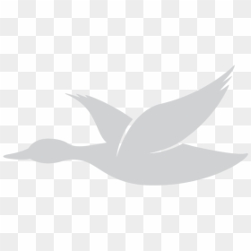 Image - Gray Duck Theater & Coffeehouse, HD Png Download - theater icon png