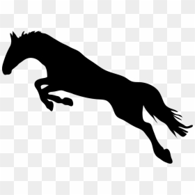 Jump Horse Silhouette Vector, HD Png Download - jumping dog png