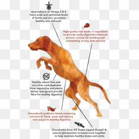Not Contained In Single Meat Protein Range - Dog Jumping Muscles, HD Png Download - jumping dog png