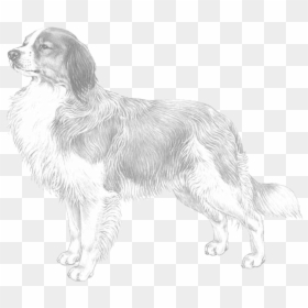 Slovak Cuvac, HD Png Download - jumping dog png