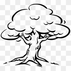 Tree Black & White, HD Png Download - perennial png