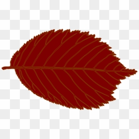 Leaf, Oval, Hazelnut, Autumn, Shapes, Single, Red - Brown Leaf Clip Art, HD Png Download - oval shapes png