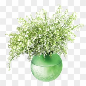 Of The Valleyin Vase - Lily Of The Valley In A Vase, HD Png Download - white flower vase png