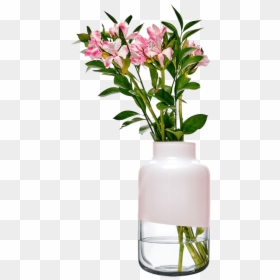Magnolia Vase 180/320 Mm - Stargazer Lily, HD Png Download - tall flower vase png