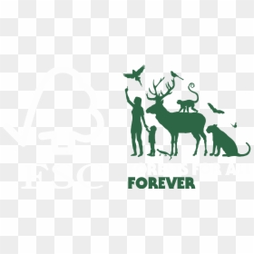 Forest Stewardship Council Logo Png, Transparent Png - 80% off png