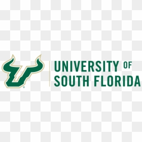 University Of South Florida, HD Png Download - splat tim png