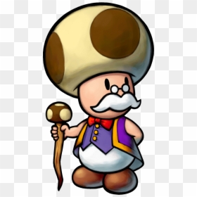 Mario And Luigi Partners In Time Toadsworth, HD Png Download - mario hat png