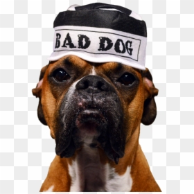 Boxer, HD Png Download - feelsbadman png