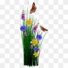 God's Favor Surrounds You Like A Shield, HD Png Download - spring flowers png