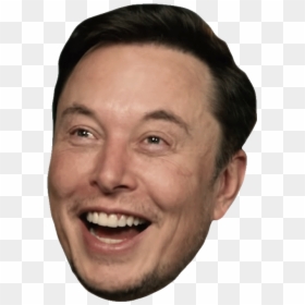 Elon Musk Meme Review, HD Png Download - bob ross png