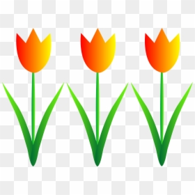 Tulips Clip Art, HD Png Download - spring flowers png