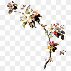 Png Floral Branches, Transparent Png - spring flowers png