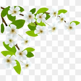 Good Morning Message With Respect, HD Png Download - spring flowers png