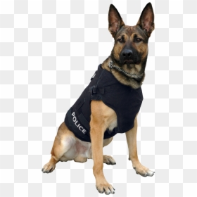 Police Dog Png, Transparent Png - police png