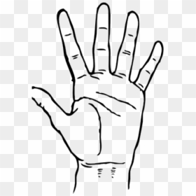 Hand Black And White Clipart, HD Png Download - ok hand png